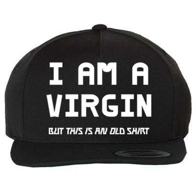 I Am A Virgin But This Is An Old Funny Gift Wool Snapback Cap