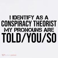 Identify As A Conspiracy Theorist Pronouns Are Told You So Apron
