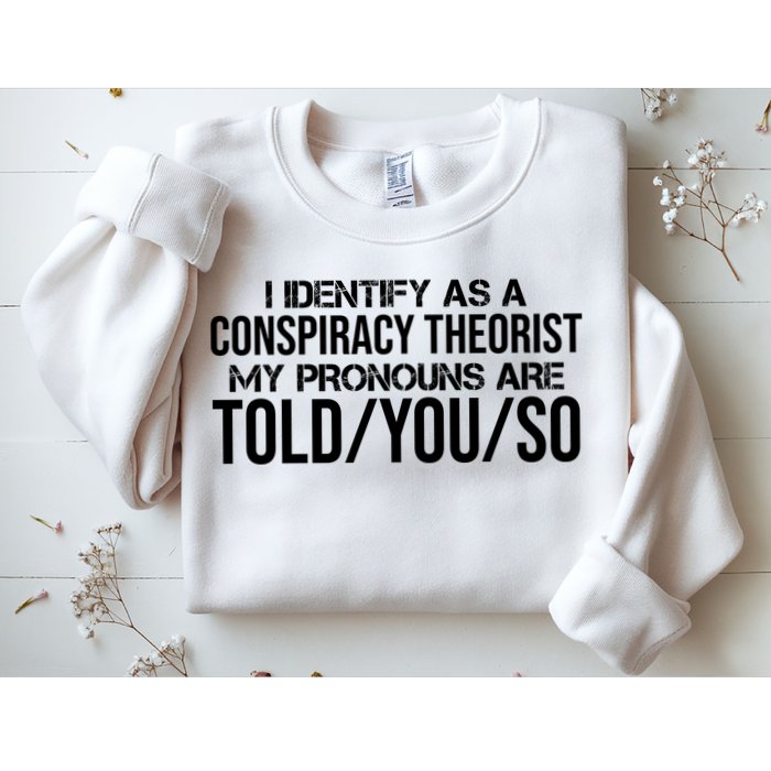 Identify As A Conspiracy Theorist Pronouns Are Told You So Sweatshirt