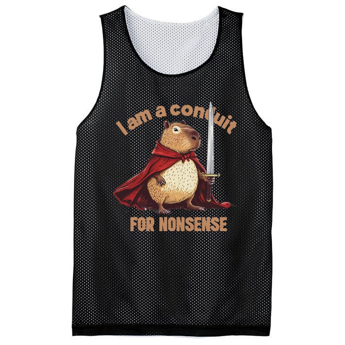 I Am A Conduit For Nonsense Funny Mesh Reversible Basketball Jersey Tank