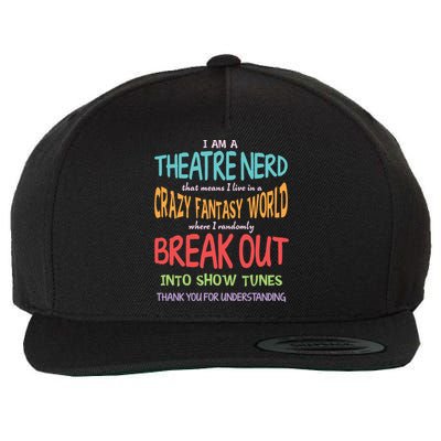 I Am A Theatre Nerd Pun Meaningful Gift Funny Theatre Musical Theater Geek Gift Wool Snapback Cap