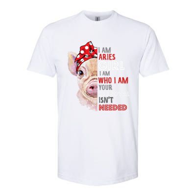 I Am Aries Who Loves Pigs Star Sign Zodiac Gift Softstyle CVC T-Shirt