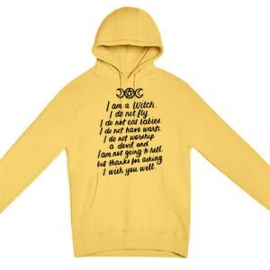 I Am A Witch Pagan Witch Wicca Wiccan Funny Gift Cute Gift Premium Pullover Hoodie