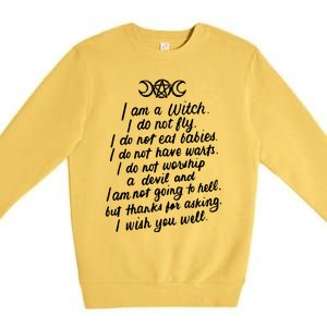 I Am A Witch Pagan Witch Wicca Wiccan Funny Gift Cute Gift Premium Crewneck Sweatshirt