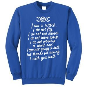 I Am A Witch Pagan Witch Wicca Wiccan Funny Gift Cute Gift Sweatshirt