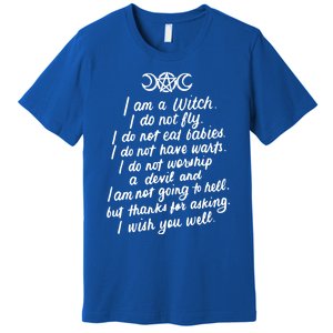 I Am A Witch Pagan Witch Wicca Wiccan Funny Gift Cute Gift Premium T-Shirt