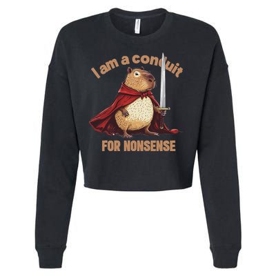 I Am A Conduit For Nonsense Cropped Pullover Crew