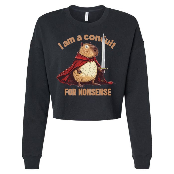 I Am A Conduit For Nonsense Cropped Pullover Crew