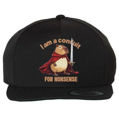 I Am A Conduit For Nonsense Wool Snapback Cap
