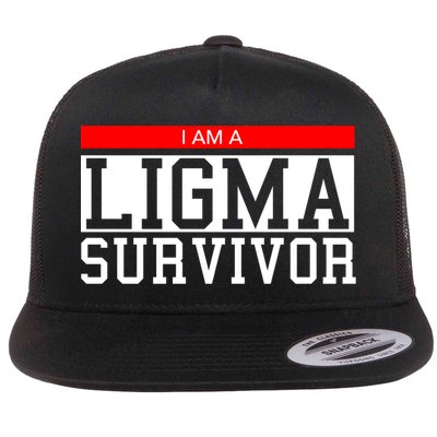 I Am A Ligma Survivor Gamer Dank Meme Theme Gift Flatbill Hat