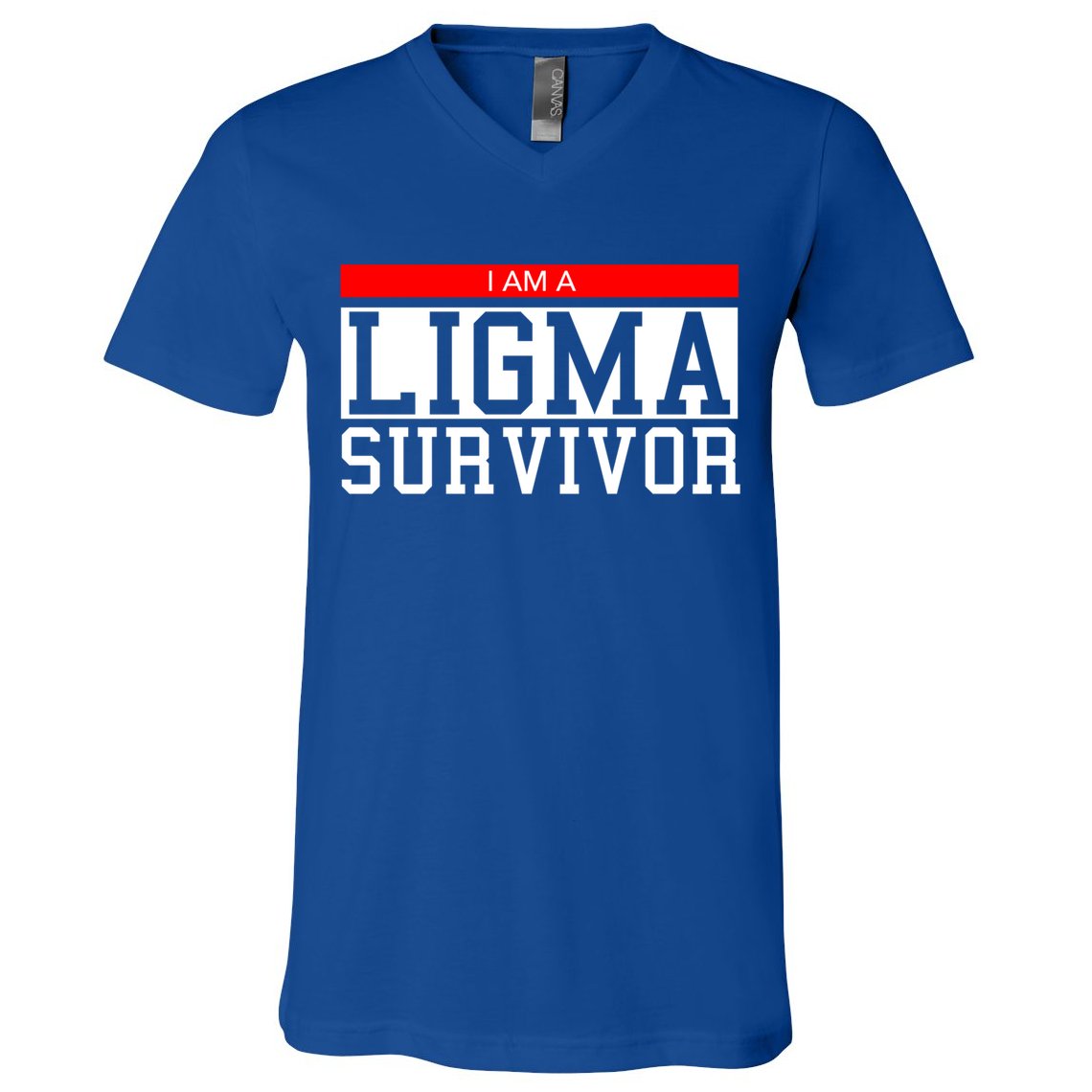 I Am A Ligma Survivor Gamer Dank Meme Theme Gift V-Neck T-Shirt