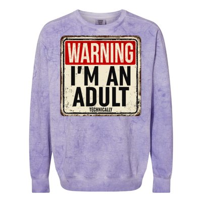 IM An Adult Technically Funny 18th Birthday 18 Year Old Colorblast Crewneck Sweatshirt