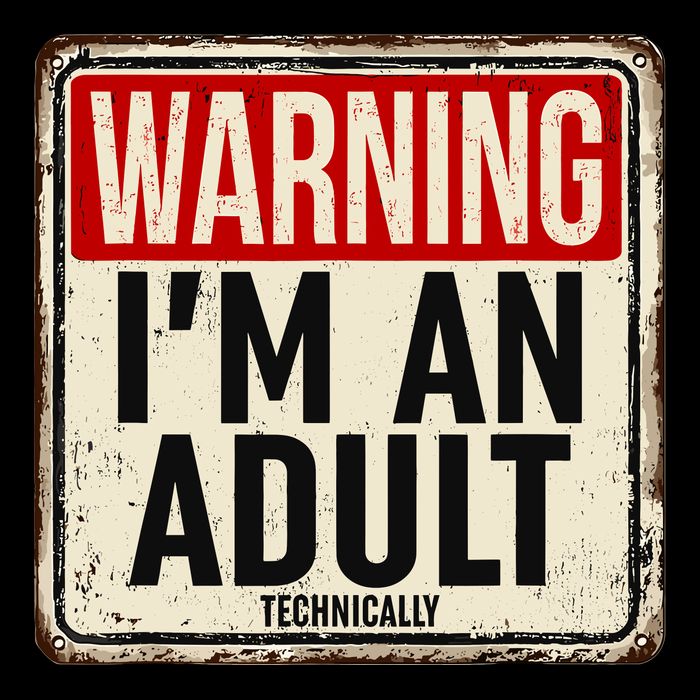 IM An Adult Technically Funny 18th Birthday 18 Year Old Button
