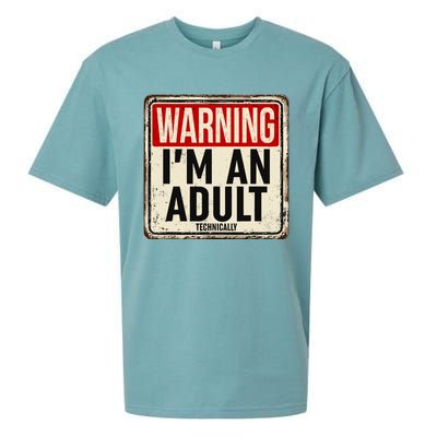 IM An Adult Technically Funny 18th Birthday 18 Year Old Sueded Cloud Jersey T-Shirt