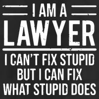 I Am A Lawyer I Cant Fix Stupid Funny Attorney Adult Drive Performance Visor