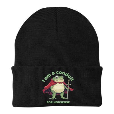 I Am A Conduit For Nonsense Funny Frog Beanie