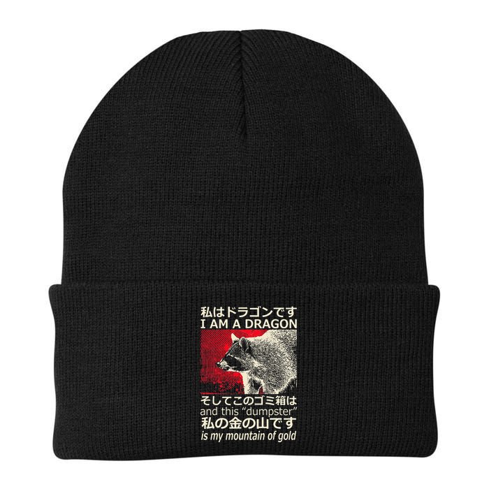 I Am A Dragon And This Dumpster Is My Mountain Gf Gold Gift Beanie
