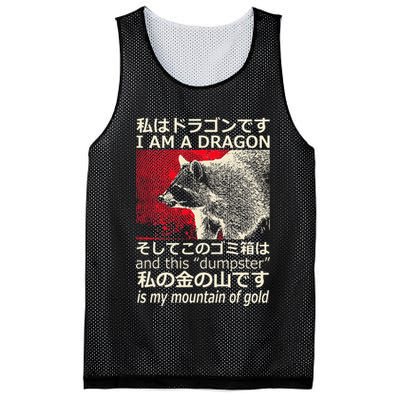 I Am A Dragon And This Dumpster Is My Mountain Gf Gold Gift Mesh Reversible Basketball Jersey Tank