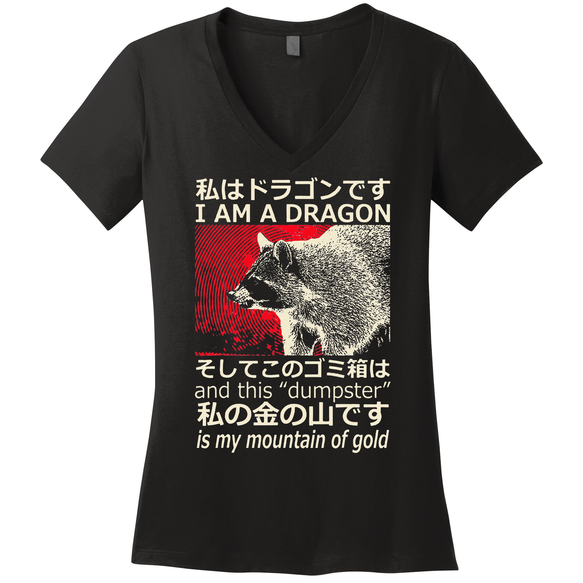 I Am A Dragon And This Dumpster Is My Mountain Gf Gold Gift Women's V-Neck T-Shirt