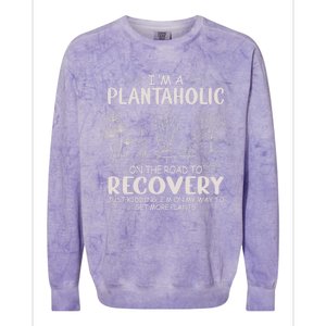 I Am A Plantaholic On The Road To Recovery Funny Plant Lover Colorblast Crewneck Sweatshirt