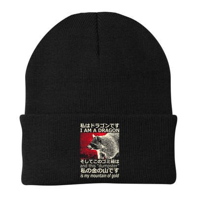 I Am A Dragon And This Dumpster Is My Mountain Beanie
