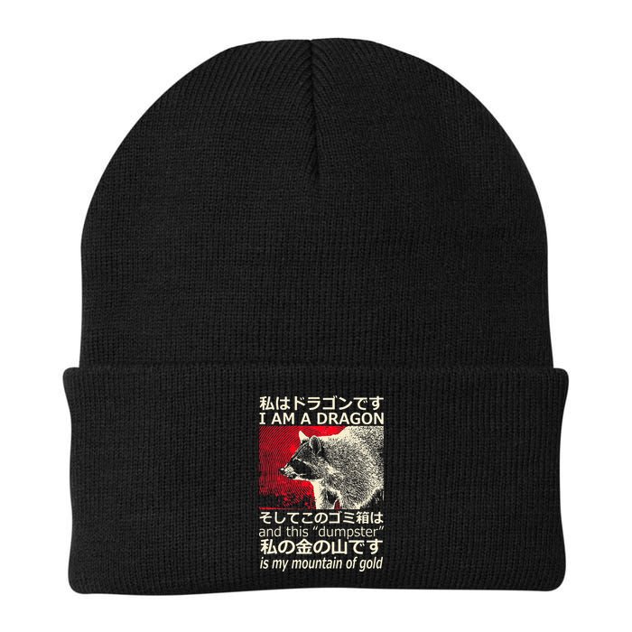 I Am A Dragon And This Dumpster Is My Mountain Beanie