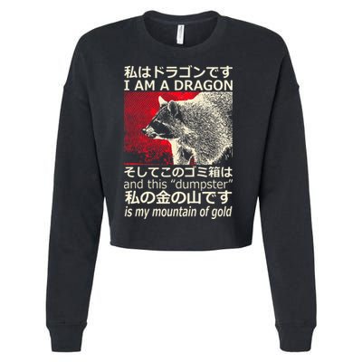 I Am A Dragon And This Dumpster Is My Mountain Cropped Pullover Crew