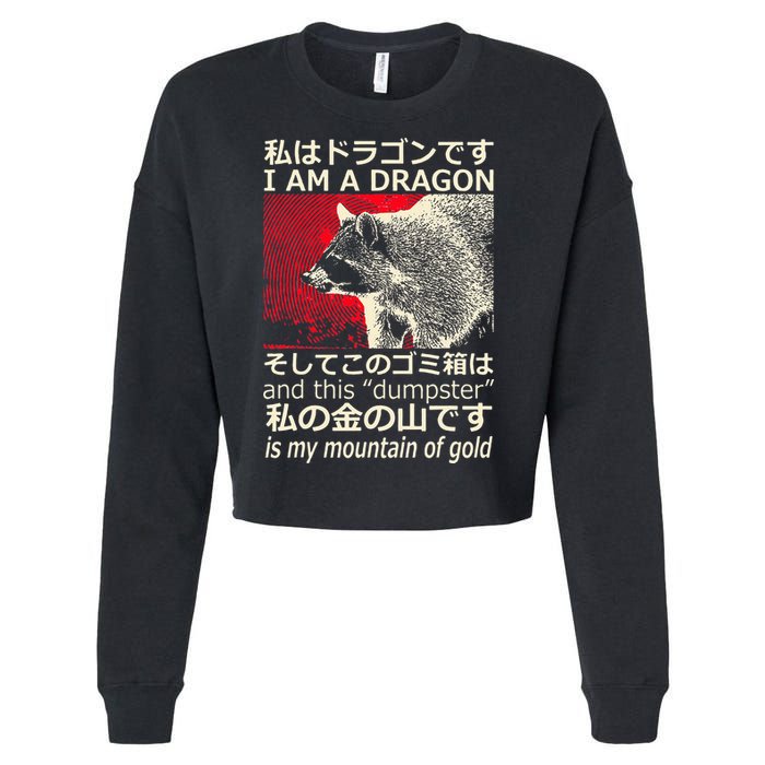 I Am A Dragon And This Dumpster Is My Mountain Cropped Pullover Crew