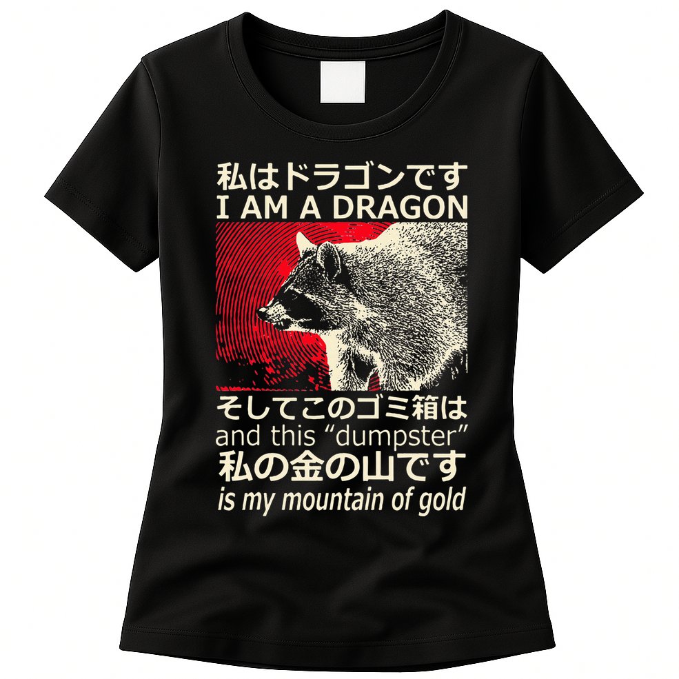I Am A Dragon And This Dumpster Is My Mountain Womens T-Shirt