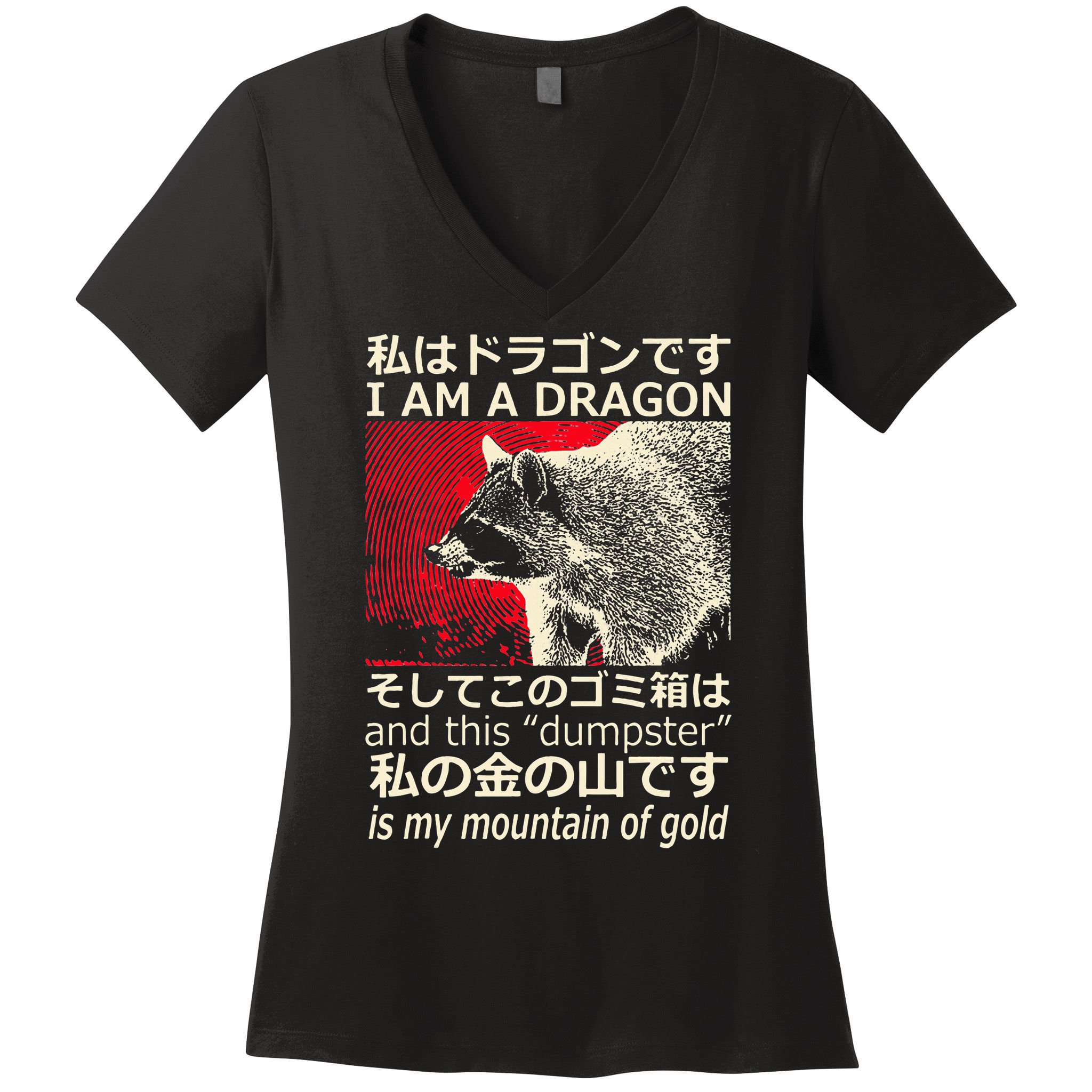 I Am A Dragon And This Dumpster Is My Mountain Women's V-Neck T-Shirt