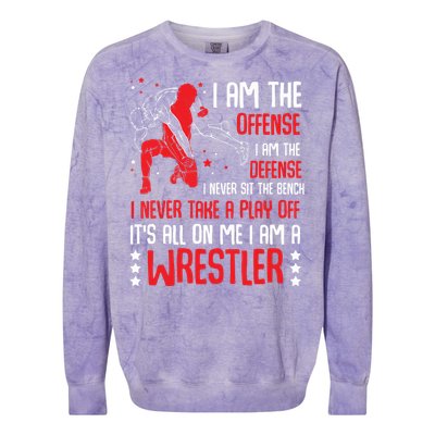 I Am A Wrestler Wrestling Wrestler Fight Coach Sports Colorblast Crewneck Sweatshirt