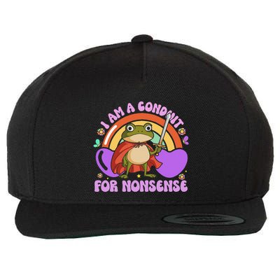 I Am A Conduit For Nonsense Funny Frog Knight Gift Wool Snapback Cap