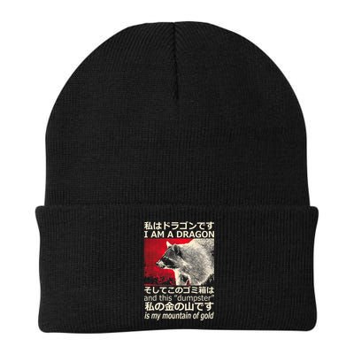 I Am A Dragon And This Dumpster Is My Mountain Of Gold Beanie