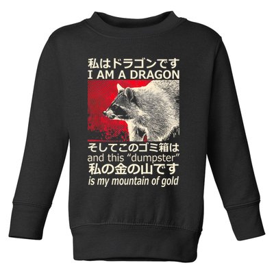 I Am A Dragon And This Dumpster Is My Mountain Of Gold Toddler Sweatshirt
