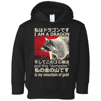 I Am A Dragon And This Dumpster Is My Mountain Of Gold Toddler Hoodie