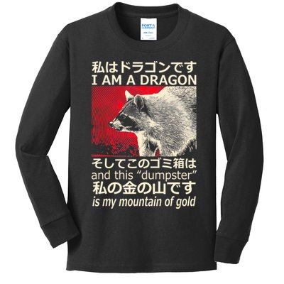 I Am A Dragon And This Dumpster Is My Mountain Of Gold Kids Long Sleeve Shirt