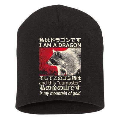 I Am A Dragon And This Dumpster Is My Mountain Of Gold Short Acrylic Beanie
