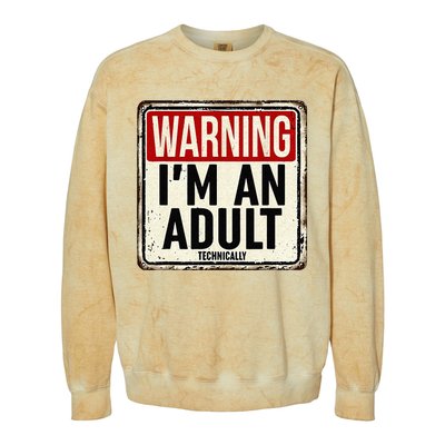 Im An Adult Technically Funny 18th Birthday 18 Year Old Men Colorblast Crewneck Sweatshirt