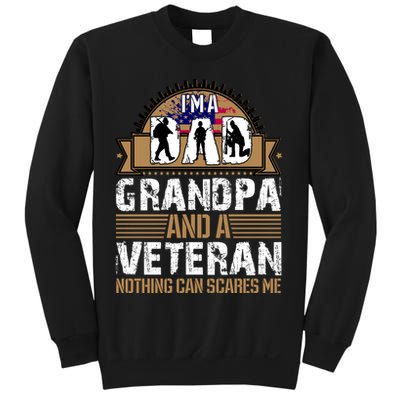 I Am A Dad Grandpa And A Veteran Nothing Can Scares Me Sweatshirt