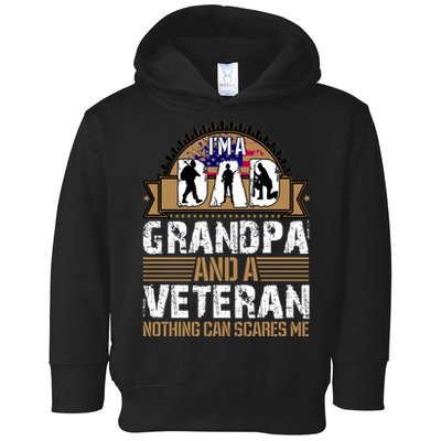 I Am A Dad Grandpa And A Veteran Nothing Can Scares Me Toddler Hoodie