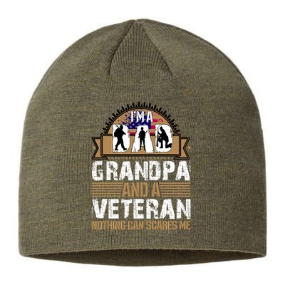 I Am A Dad Grandpa And A Veteran Nothing Can Scares Me Sustainable Beanie