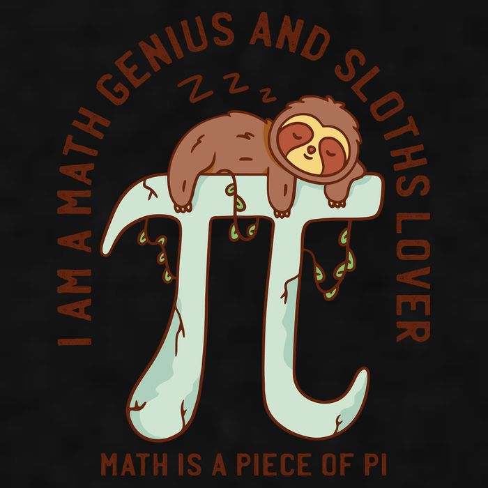 I Am A Math Genius And Sloths Lover Math Is A Piece Of Pi Ladies PosiCharge Tri-Blend Wicking Tank