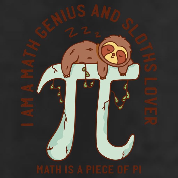 I Am A Math Genius And Sloths Lover Math Is A Piece Of Pi Cool Comfort Performance Bucket Hat