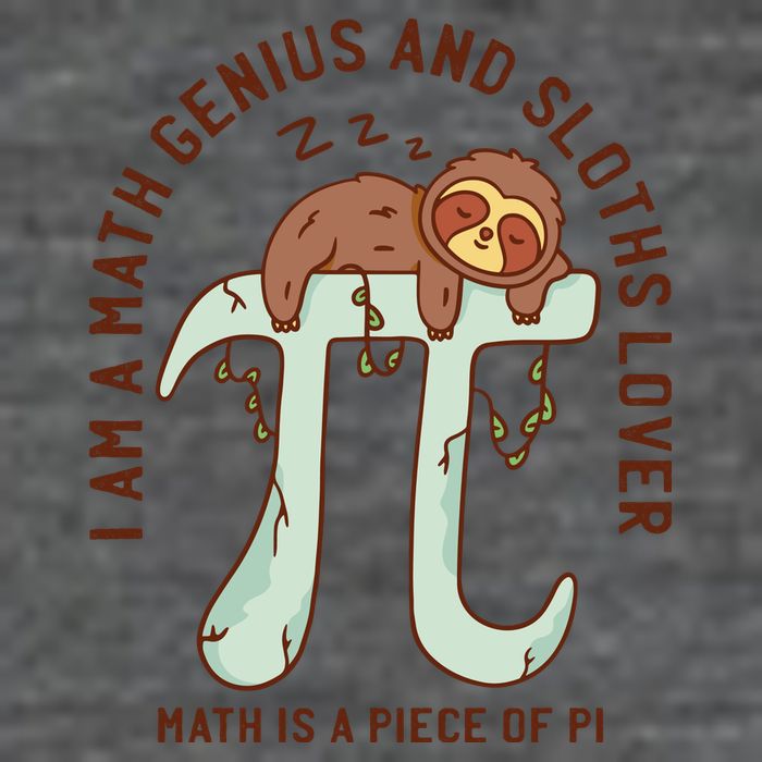 I Am A Math Genius And Sloths Lover Math Is A Piece Of Pi 7 Panel Mesh Trucker Snapback Hat