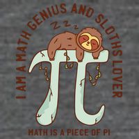 I Am A Math Genius And Sloths Lover Math Is A Piece Of Pi 7-Panel Snapback Hat
