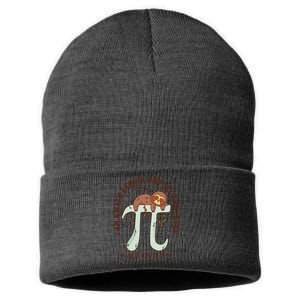 I Am A Math Genius And Sloths Lover Math Is A Piece Of Pi Sustainable Knit Beanie