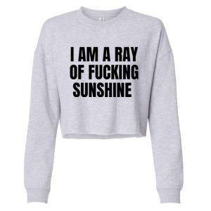 I Am A Ray Of Fucking Sunshine Cropped Pullover Crew