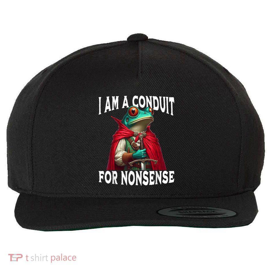 I Am A Conduit For Nonsense Funny Frog Wool Snapback Cap