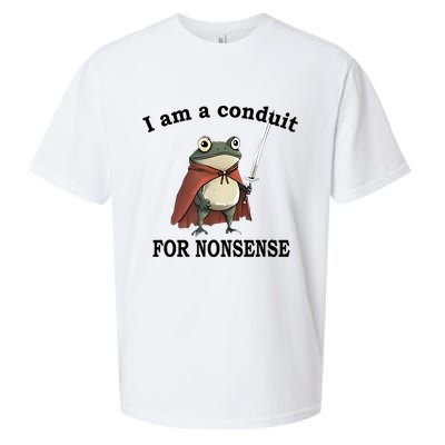 I Am A Conduit For Nonsense Funny Frog With Sword Sueded Cloud Jersey T-Shirt
