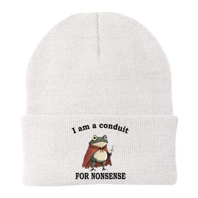 I Am A Conduit For Nonsense Funny Frog With Sword Beanie